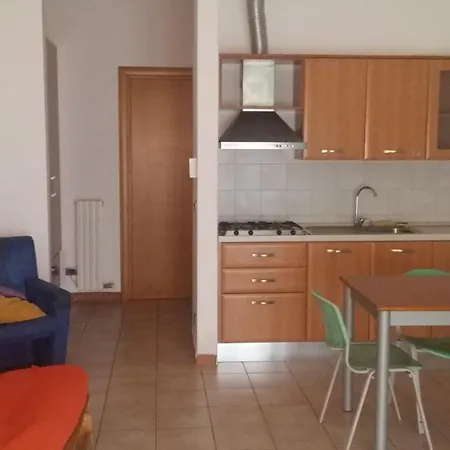 Nidi Di Atena *